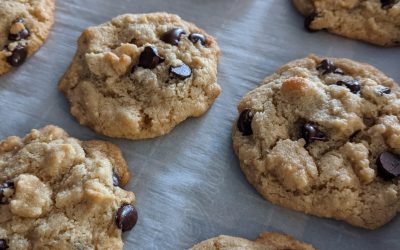 Fan Favorite Gluten-Free Chocolate Chip Cookies {Recipe}